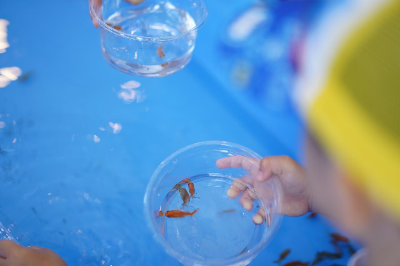 金魚すくい 2022/07/24（行事・お祭りのご報告） | Brillia(ブリリア